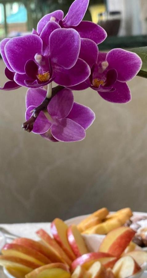 פארמה Hotel Verdi Boutique Hotel מראה חיצוני תמונה
